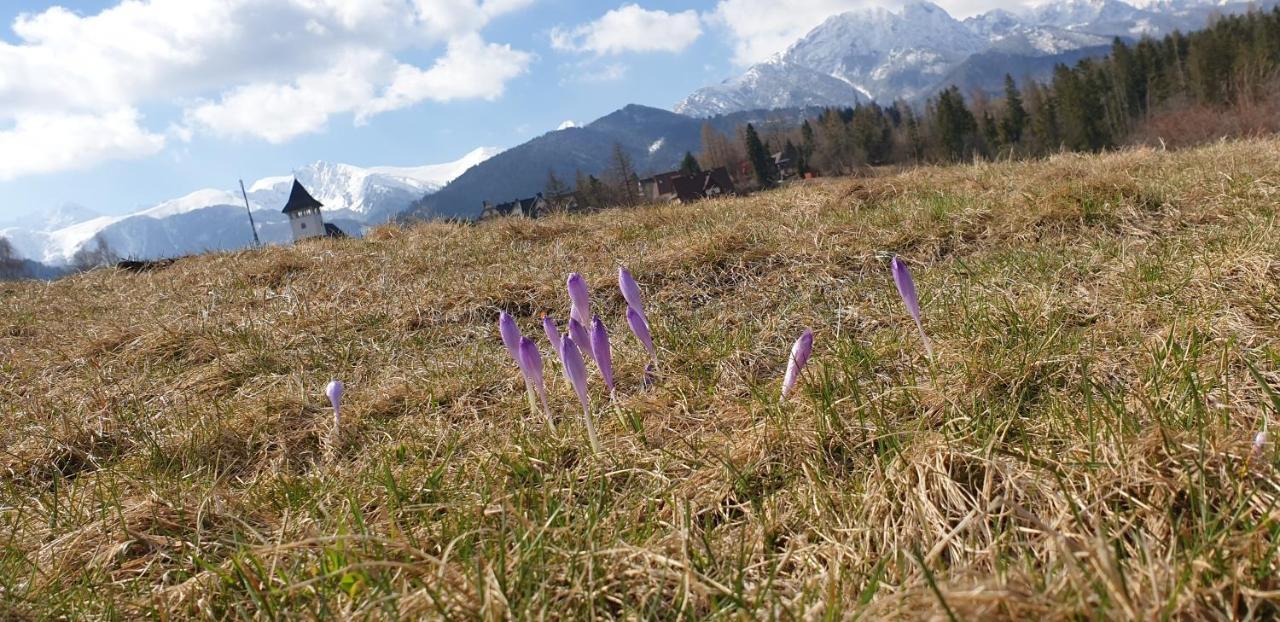 Apartament Na Brzyzku Zakopane Luaran gambar