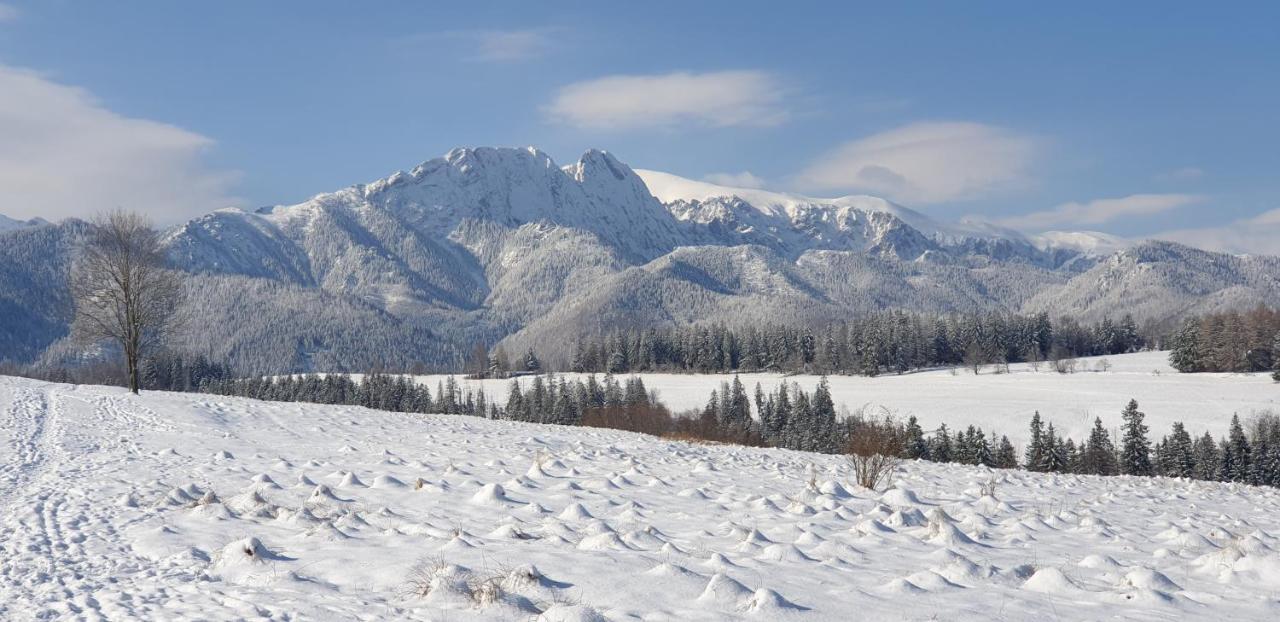 Apartament Na Brzyzku Zakopane Luaran gambar